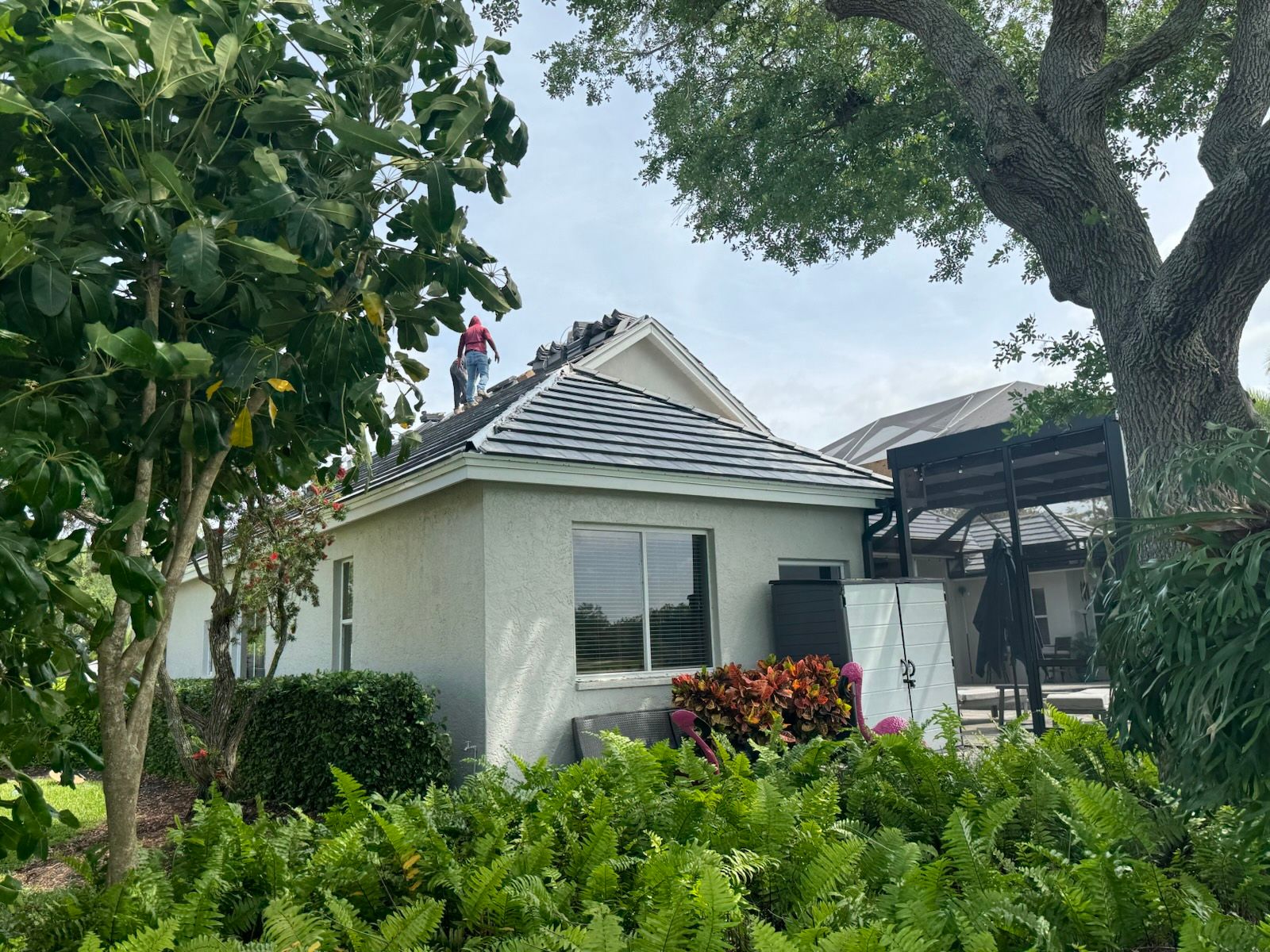 Shingle Roof Replacement in Sarasota: project photos (6 of 6)