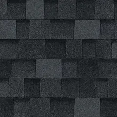 Owens Corning TruDefinition® Duration® Onyx Black