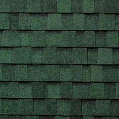 TAMKO Titan XT® Rustic Evergreen